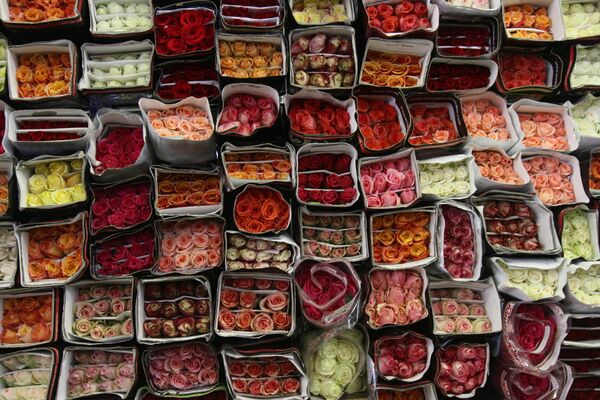 Продажа цветов к празднику 8 Марта Продажа цветов к празднику 8 Марта