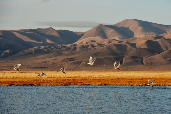 Осень на Алтае