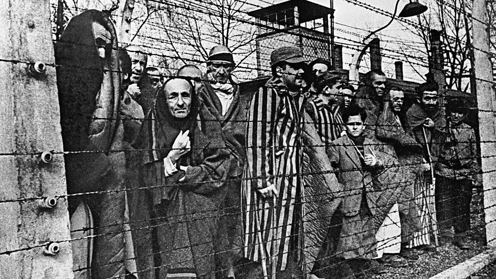 Узники Освенцима - РИА Новости, 1920, 26.01.2024
