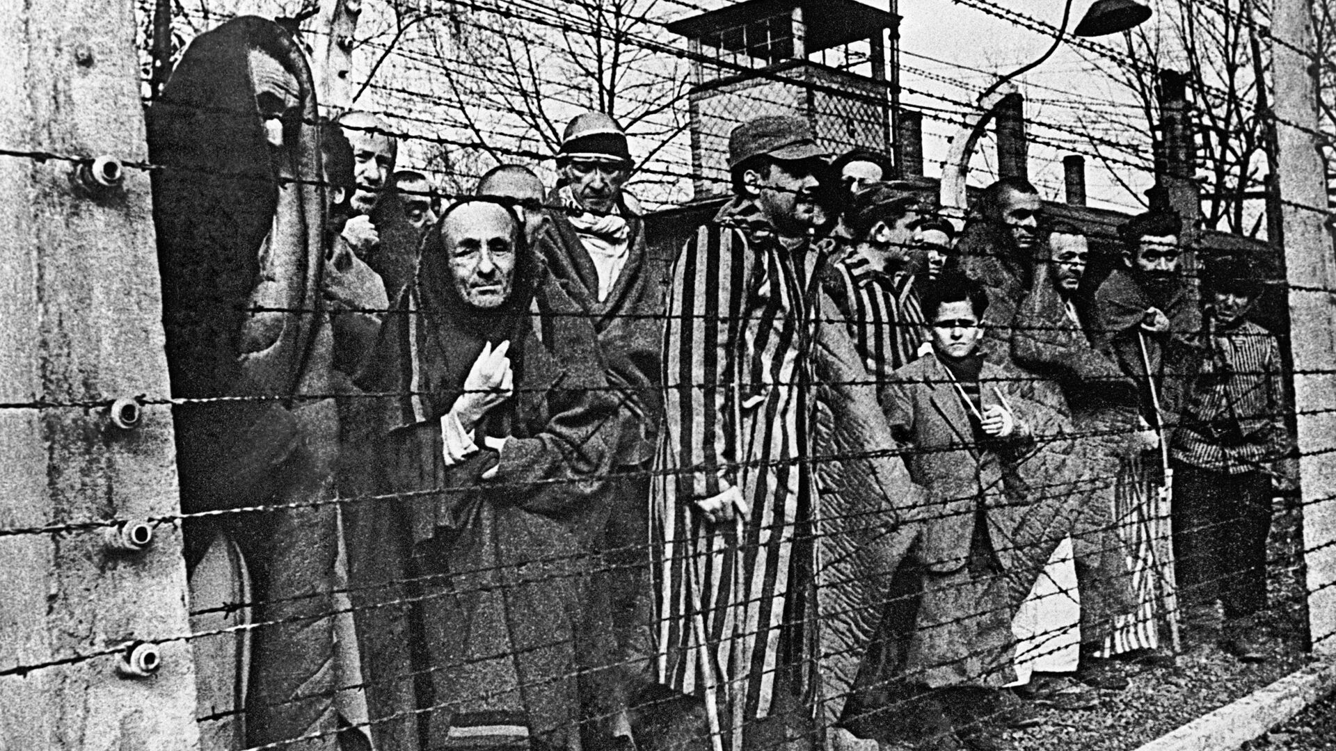 Узники Освенцима - РИА Новости, 1920, 26.01.2024