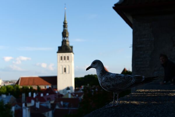 Города мира. Таллин Города мира. Таллин