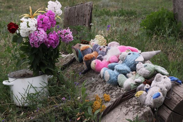 Место крушения Boeing 777 малайзийских авиалиний Место крушения Boeing 777 малайзийских авиалиний