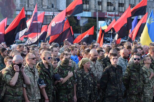 Народное вече организации Правый сектор в Киеве