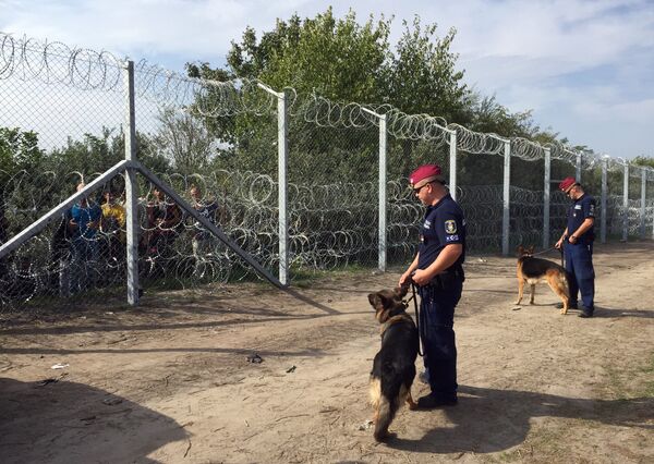 Ситуация на венгерско-сербской границе