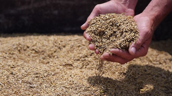 Уборка зерновых в Крыму