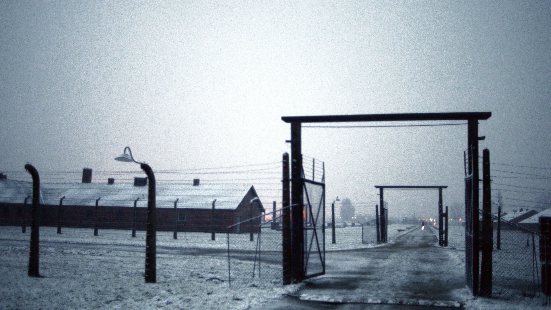 К 70-й годовщине освобождения концлагеря Аушвиц-Биркенау (Освенцим) Красной Армией - РИА Новости, 1920, 29.01.2020