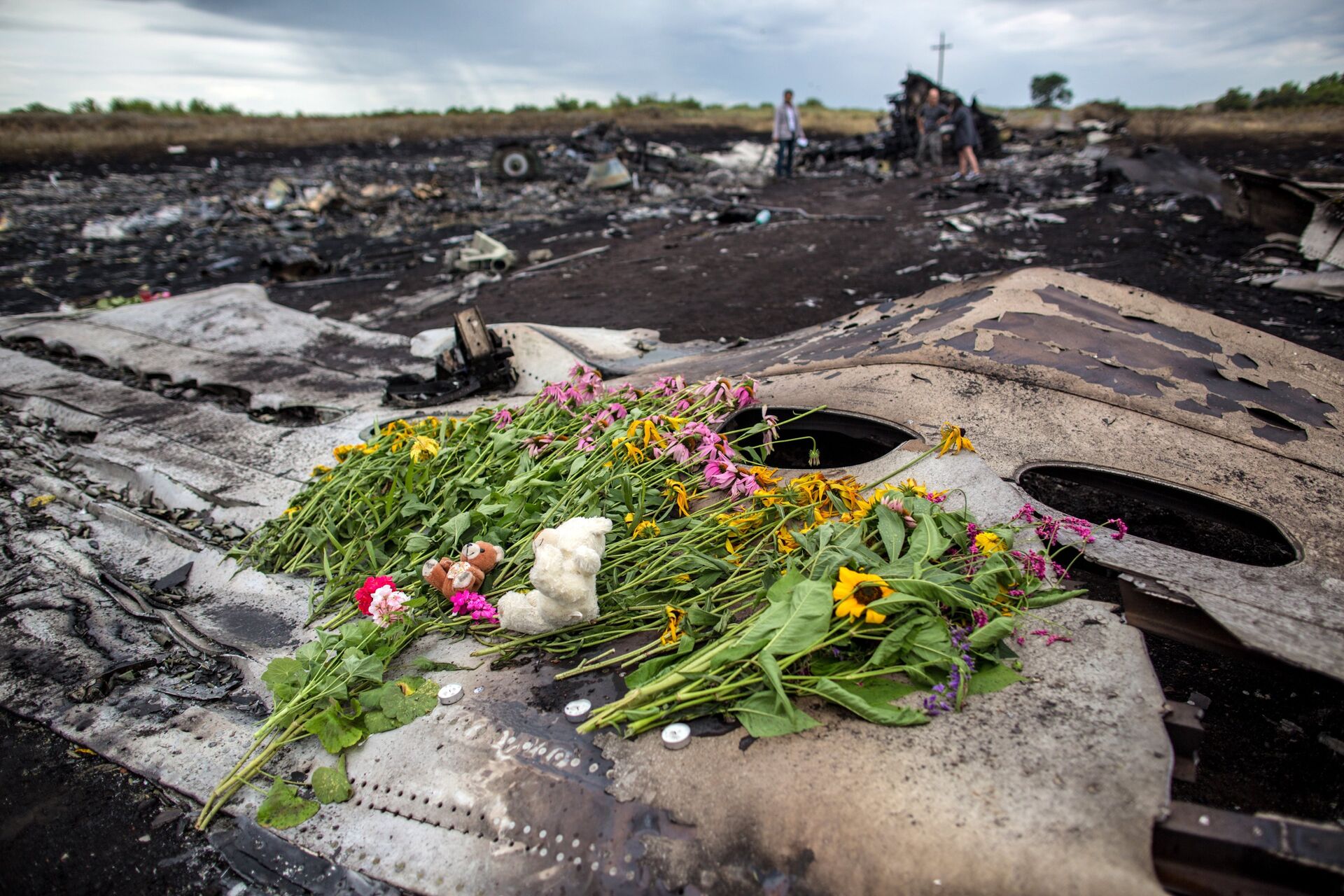 Сбор тел погибших на месте крушения малайзийского лайнера Boeing 777 в районе Шахтерска - РИА Новости, 1920, 13.10.2021