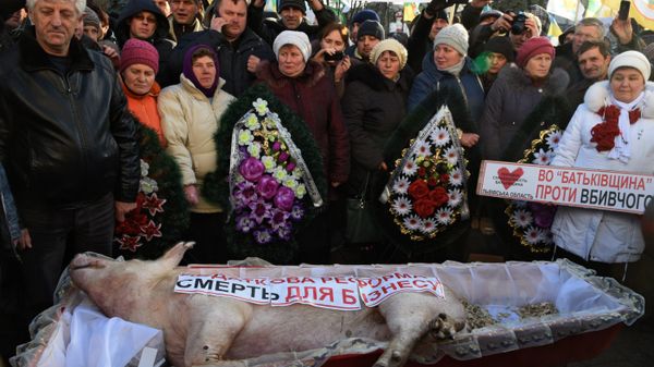 Киев напуган потерей зернового коридора и молит Варшаву о примирении