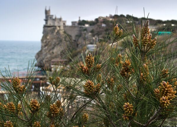 Весна в Крыму Весна в Крыму