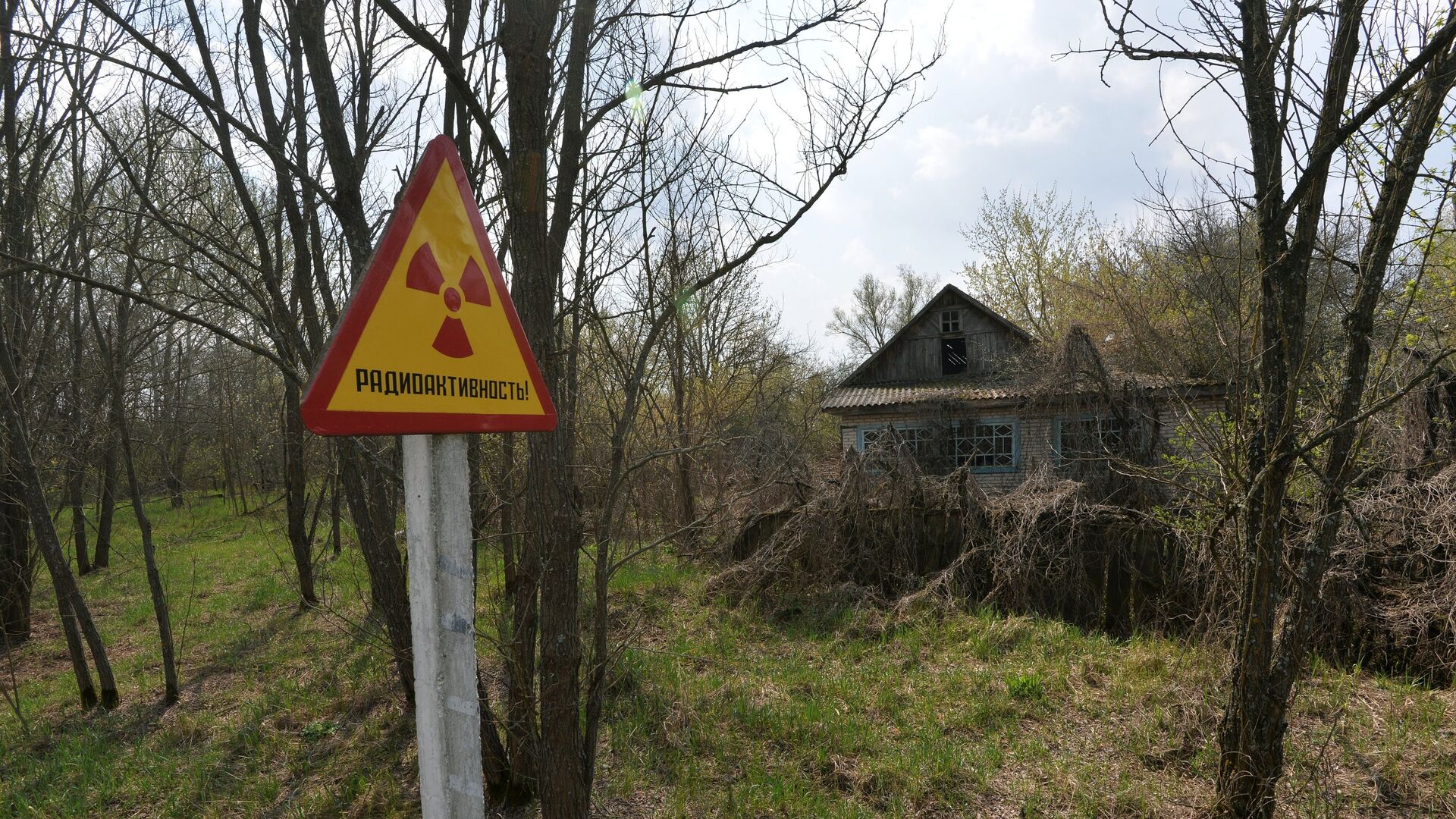 Белорусский сектор зоны отчуждения Чернобыльской АЭС - РИА Новости, 1920, 27.10.2022