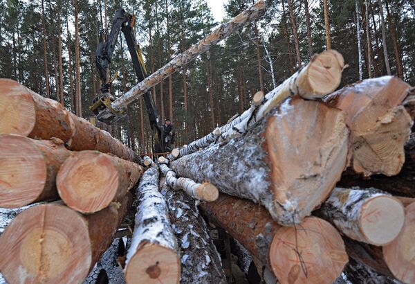 Предприятие по заготовке и переработке древесины Кыштымский лес в Челябинской области