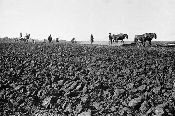 Посевные работы