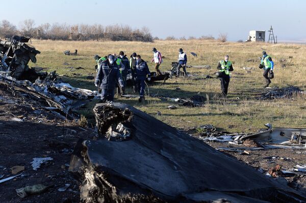 Эксперты ОБСЕ осматривают место крушения малазийского самолета