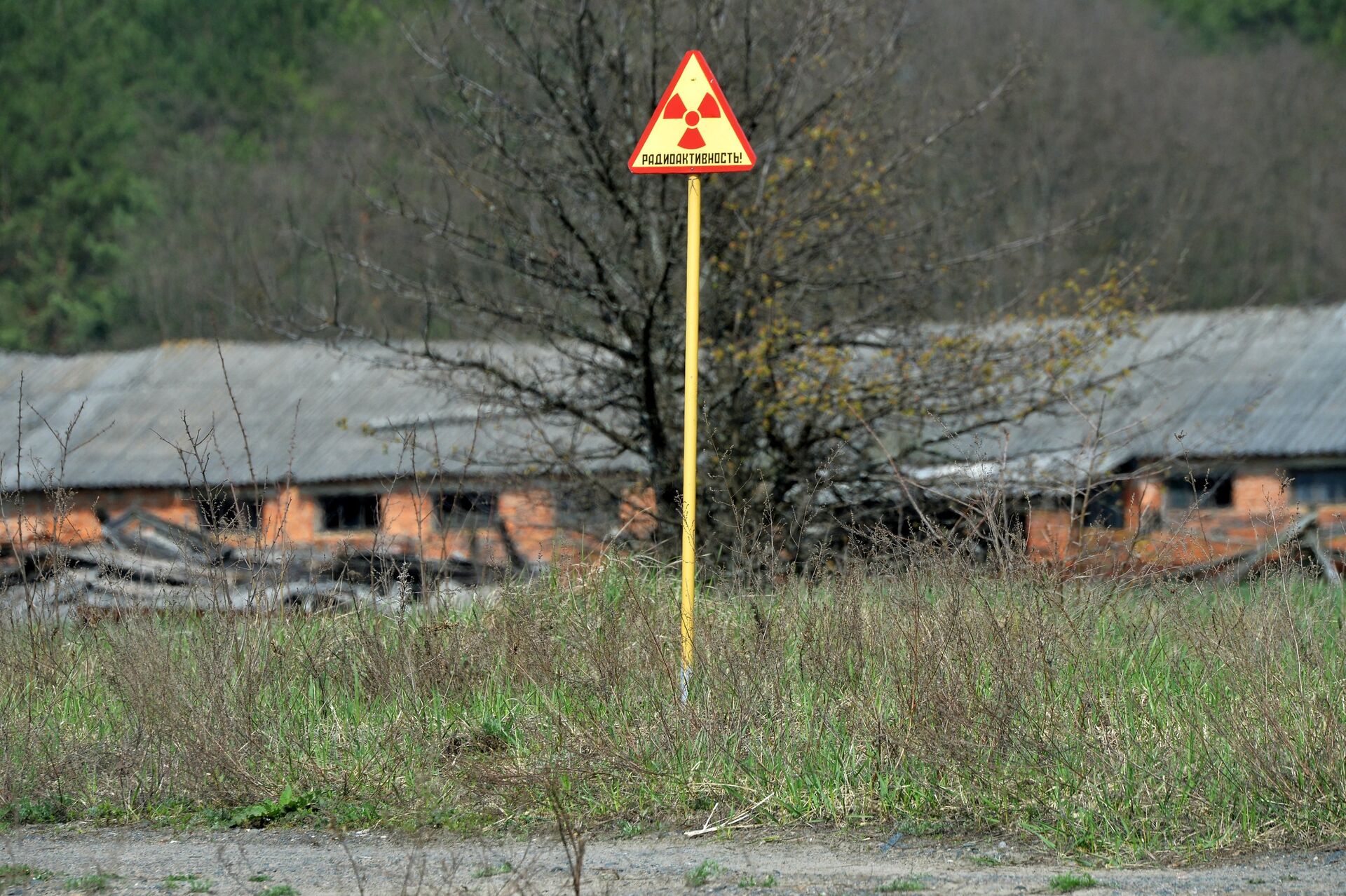 Белорусский сектор зоны отчуждения Чернобыльской АЭС - РИА Новости, 1920, 26.04.2022