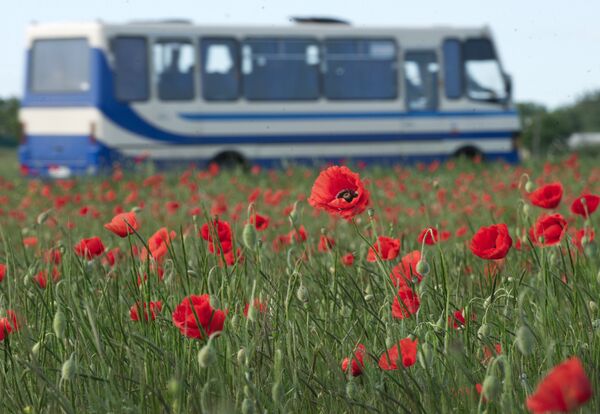 Регионы России. Крым Регионы России. Крым