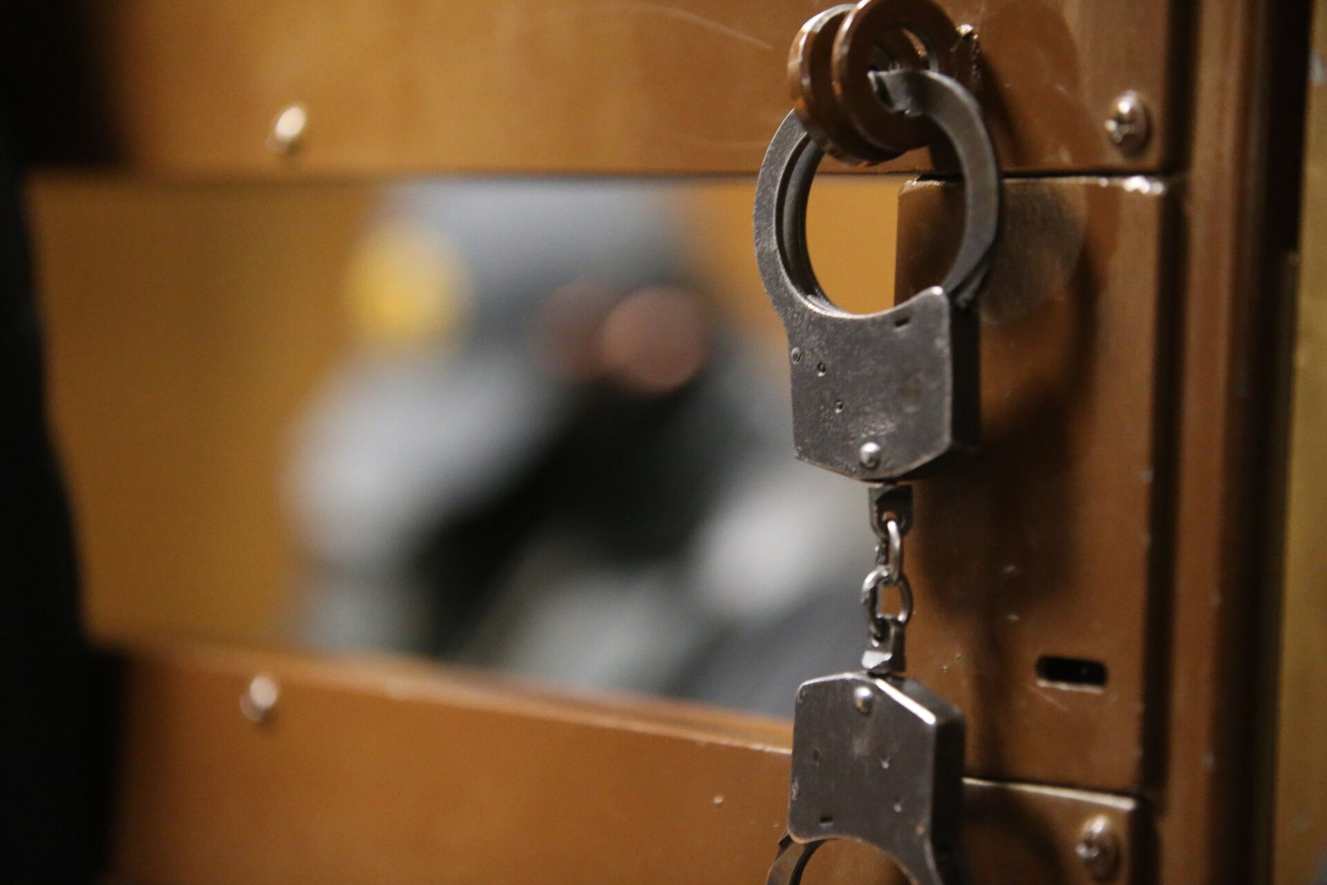 Рассмотрение ходатайства следствия об аресте А. Величко в Черемушкинском суде - РИА Новости, 1920, 20.05.2021