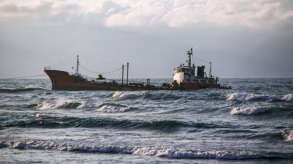 На Сахалине спасают птиц после нефтяного разлива