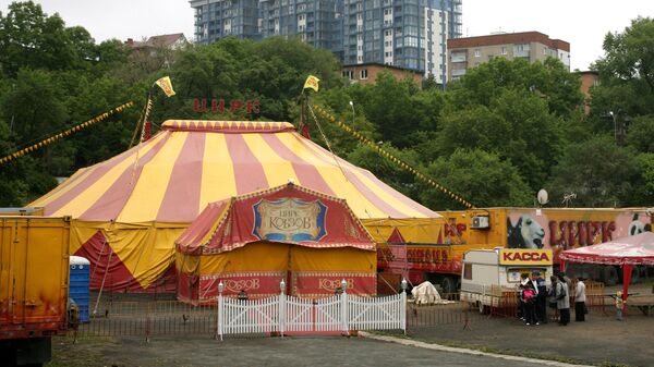 Большой Киевский цирк-шапито во Владивостоке