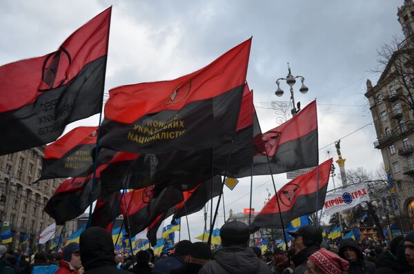 флаг Конгресс украинских националистов КУН Евромайдан в Киеве 01.12.2013