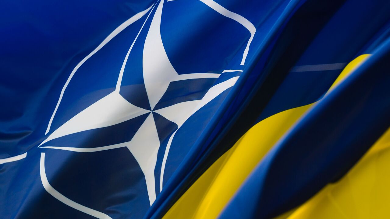 Эксперт заявил, что Украине придется отказаться от членства в НАТО