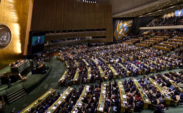 Заседание Генеральной Ассамблеи ООН