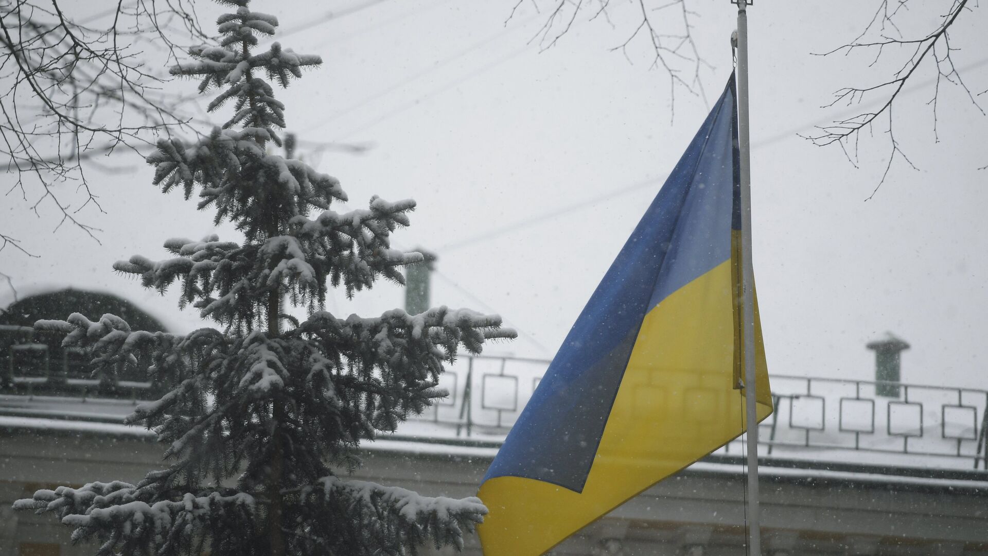 флаг Украины - РИА Новости, 1920, 02.02.2022