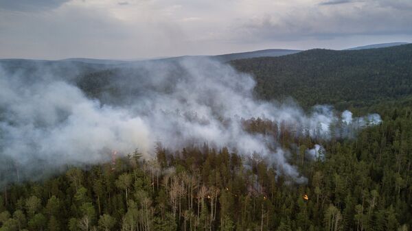 Лесные пожары в Бурятии