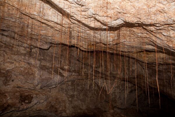 В Крыму обнаружили уникальную пещеру, где на протяжении пятидесяти тысяч лет хранились останки доисторических животных. И, как выяснилось, это – не единственное открытие, которое сделали археологи, спелеологи и историки во время строительства трассы «Таврида»