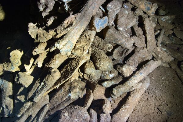 В Крыму обнаружили уникальную пещеру, где на протяжении пятидесяти тысяч лет хранились останки доисторических животных. И, как выяснилось, это – не единственное открытие, которое сделали археологи, спелеологи и историки во время строительства трассы «Таврида»