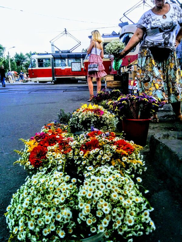 украина уличная торговля нищий пенсионер рынок продажа цветы
