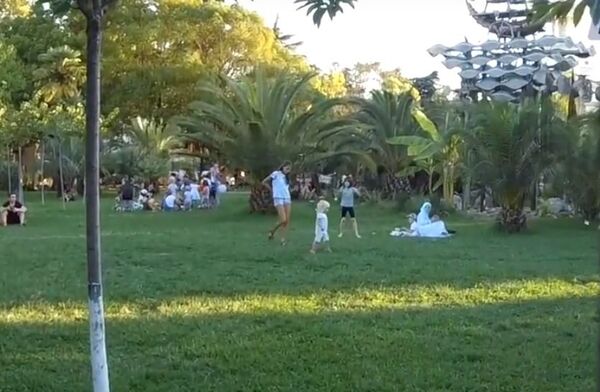 Парки Сочи и Крыма: где лучше? ВИДЕО