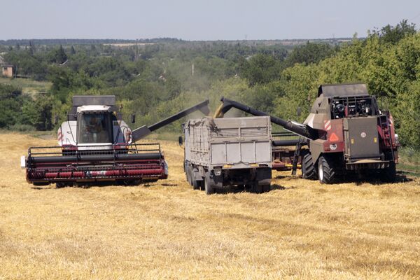 Уборка пшеницы в Донецкой области