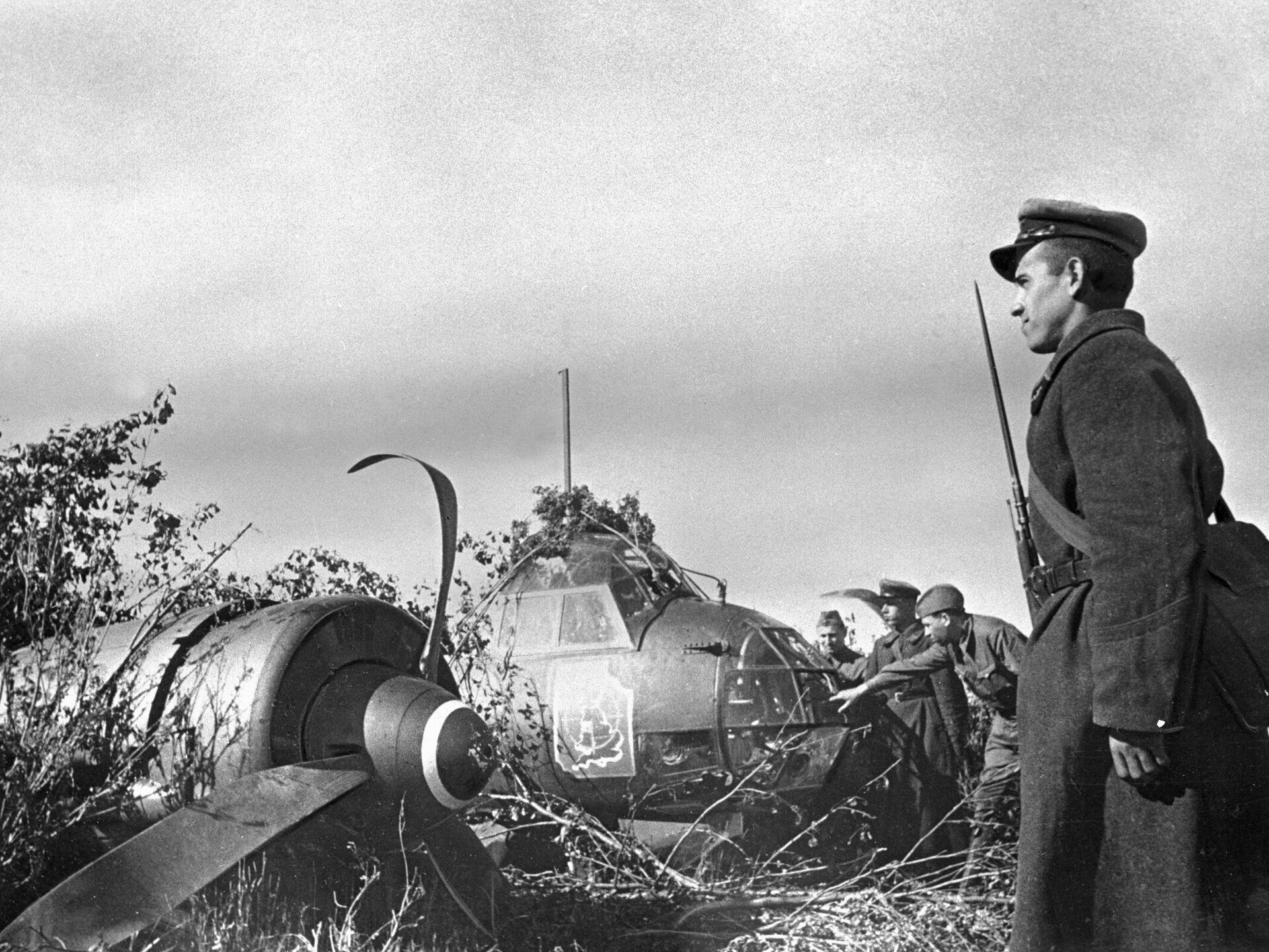 Один из первых немецких самолетов, сбитых зенитчиками в районе Киева. - РИА Новости, 1920, 19.09.2021