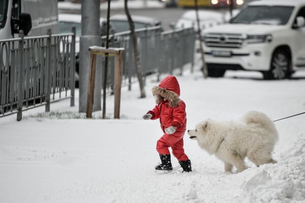Киев снег улица вид  жители автомобиль ребенок собака