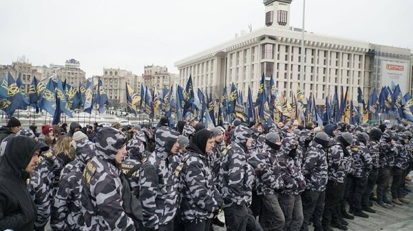 Национальный корпус митинг Киев флаг