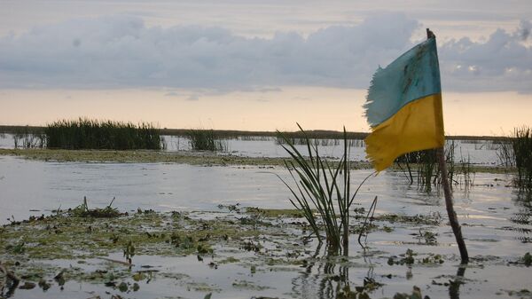 рваный флаг Украина болото