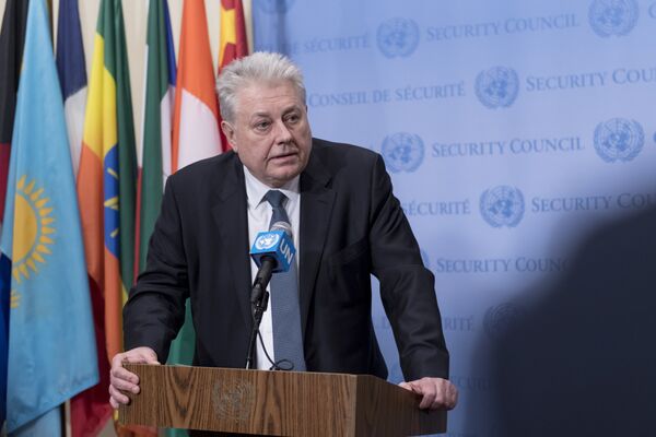 Владимир Ельченко ООН