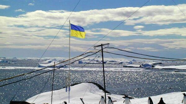 Антарктида украина флаг пингвины