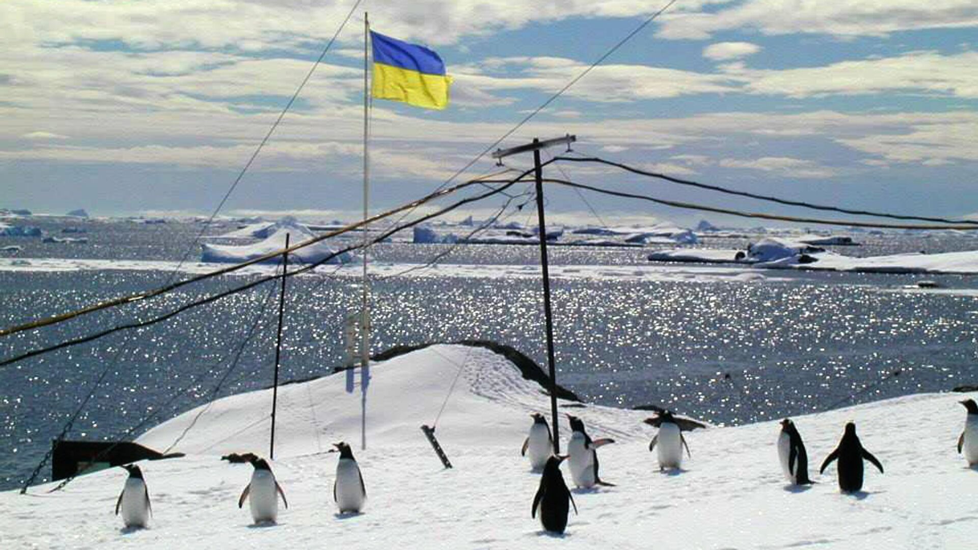 Антарктида украина флаг пингвины - РИА Новости, 1920, 25.10.2020