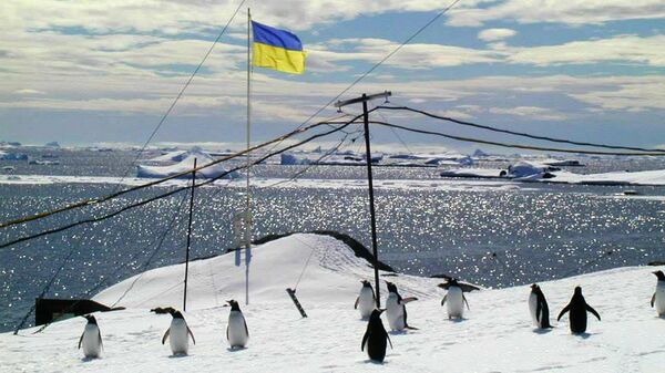 Антарктида украина флаг пингвины