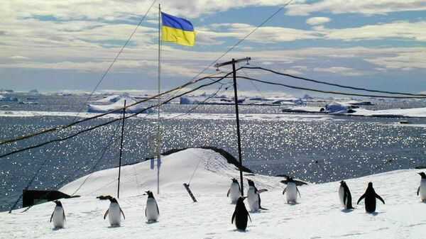 Антарктида украина флаг пингвины