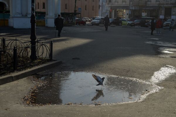 Дорога Киев улица  весна жители лужа голуби
