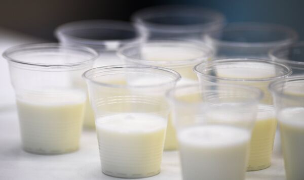 V Международный агропромышленный молочный форум. Первый день