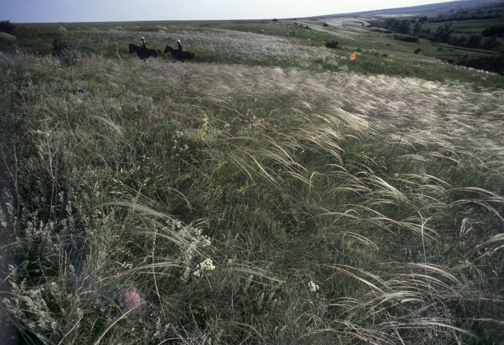   - РИА Новости, 1920, 27.03.2021