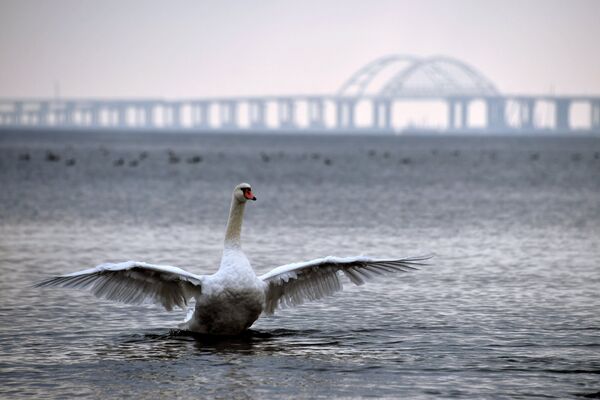 Города России. Керчь