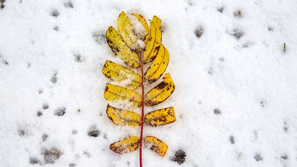 Снег в Петрозаводске