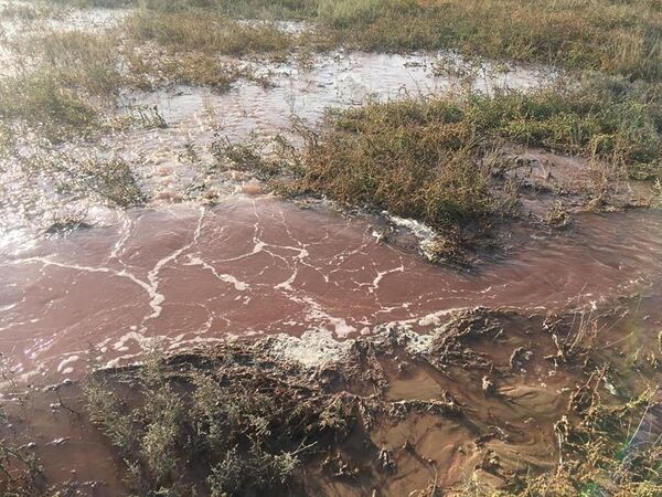 Загрязненная вода из шахт Запорожского железнорудного комбината (ЗЖРК) залила территорию Приазовского национального природного парка