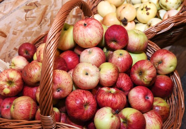 Выставка достижений сельского хозяйства в ГУМе яблок