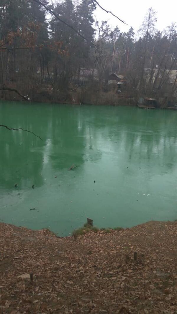 Позеленевшее озеро