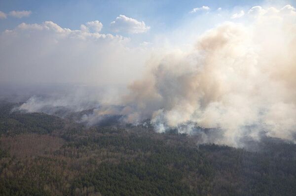 пожары лесные Украина